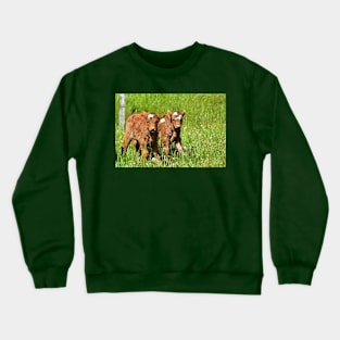 Twins Crewneck Sweatshirt